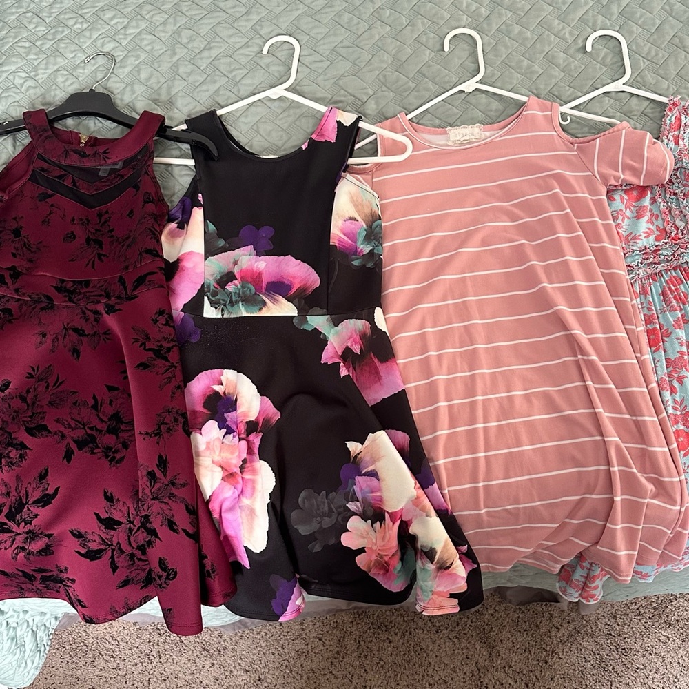 Floral and Striped Dress Collection